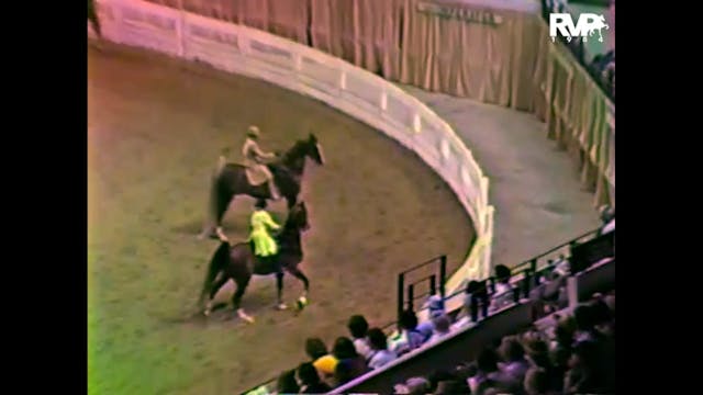 1983 WCHS - Class 71 Ladies Five Gait...