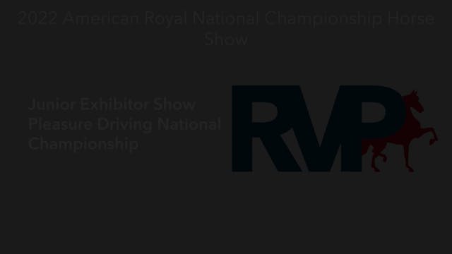 AR22 - Class 161 - Junior Exhibitor S...