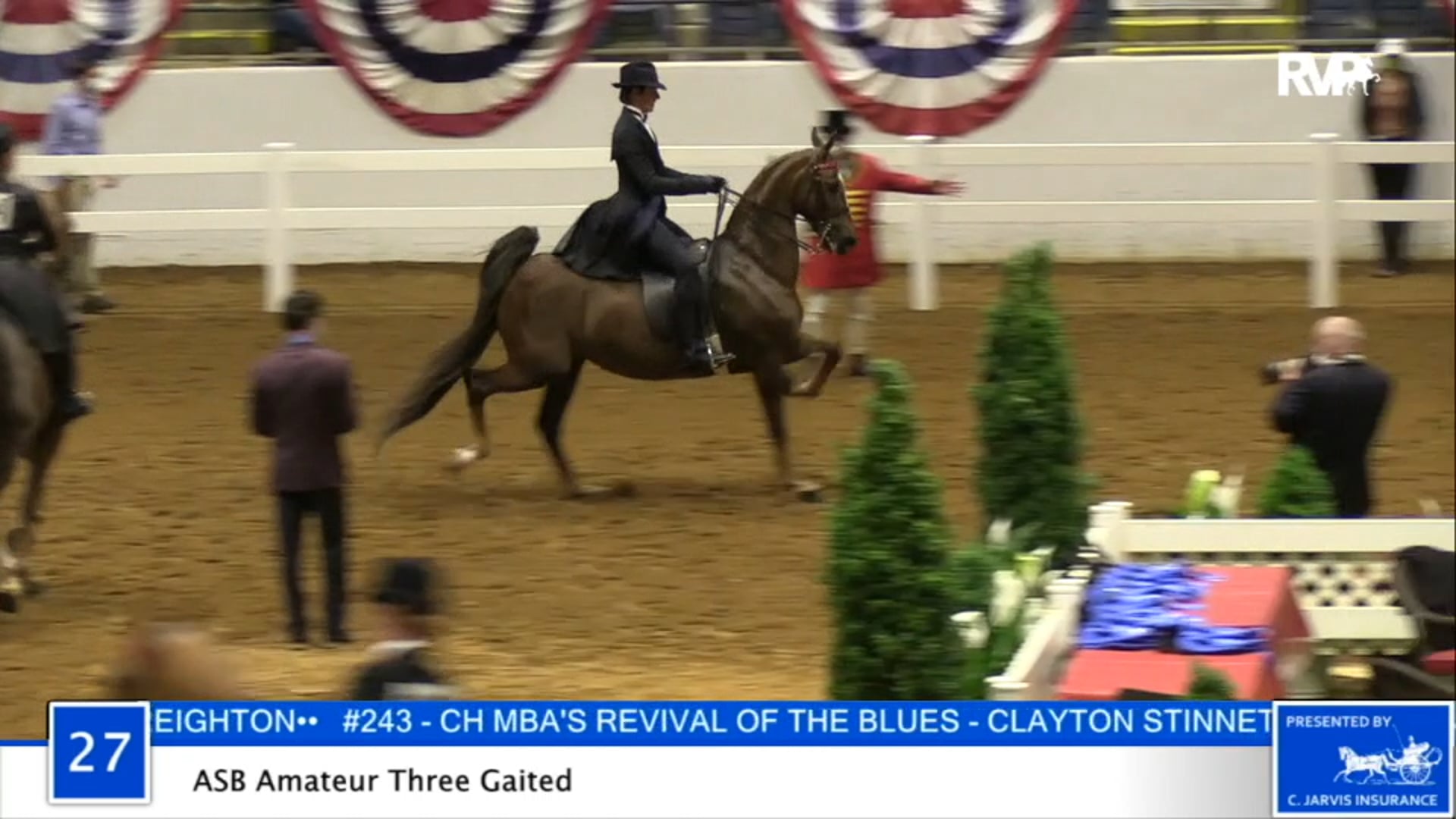 2020 BB - Class 27 ASB Amateur Three Gaited