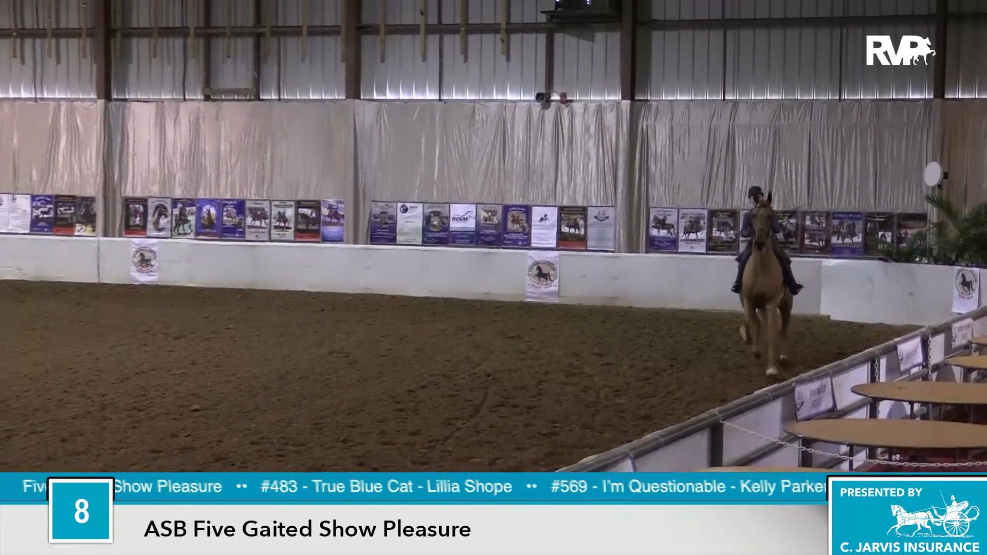 UPHA16 - Class 8 - True Blue Cat