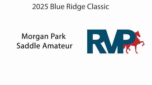 BRC25 - Class 118 - Morgan Park Saddl...
