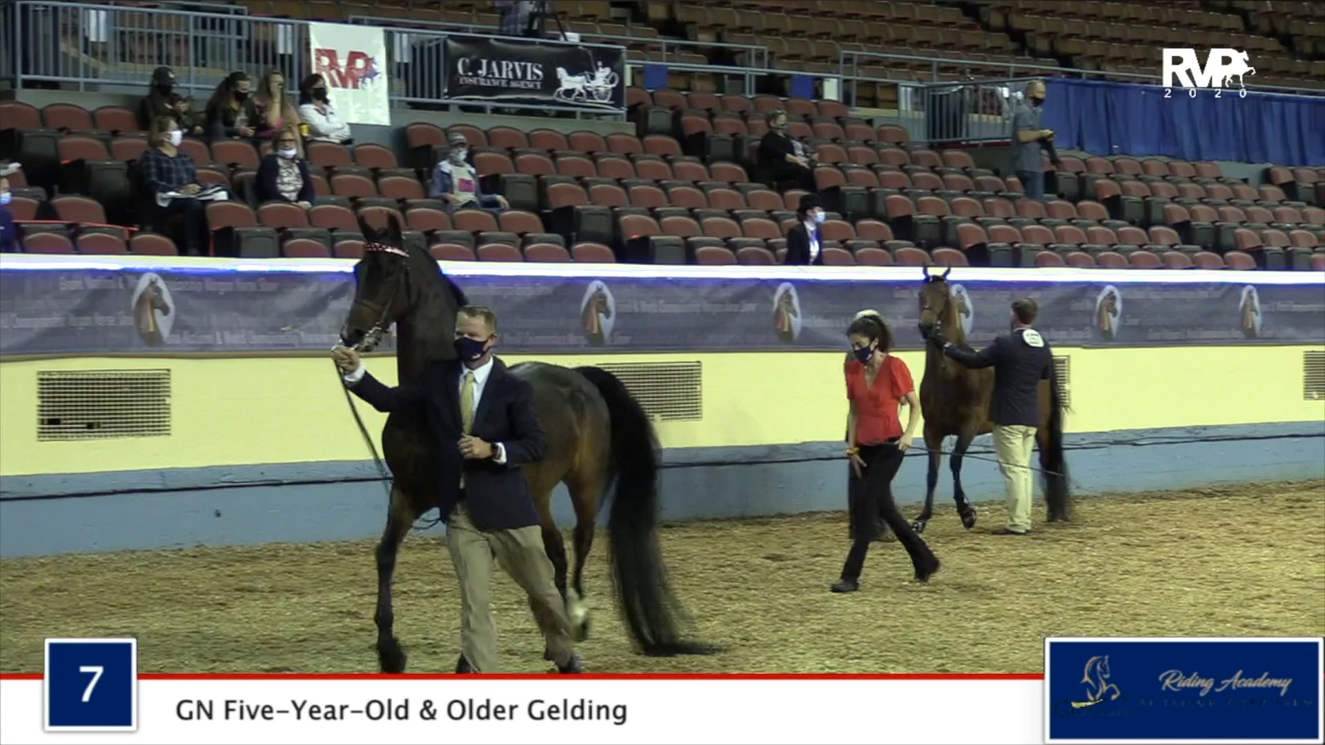 2020 MGN - Class 7 Five-Year-Old & Older Gelding