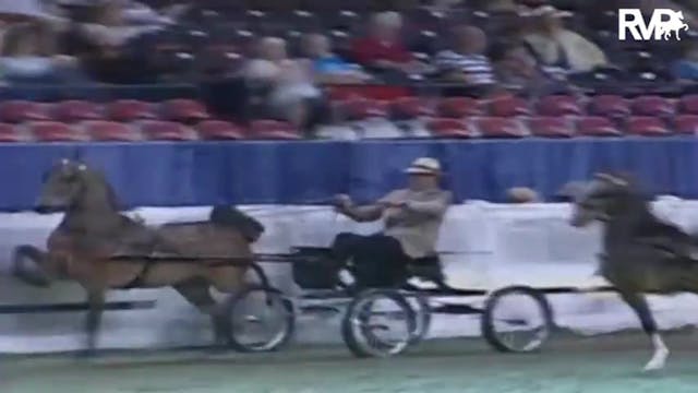 2009 World's Championship Horse Show ...