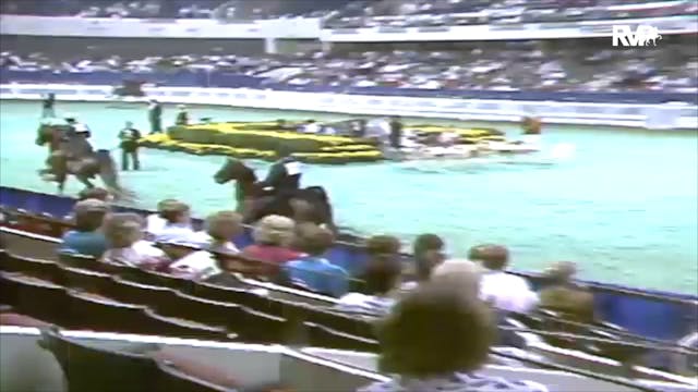 1991 WCHS Class 42 Five Gaited Stalli...