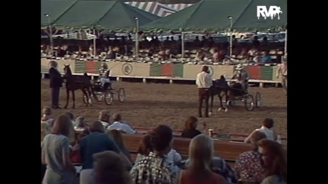 LJL 1995 - Class 32 - Harness Pony Open
