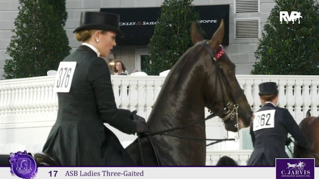 2025 Ocala International Horse Show -...