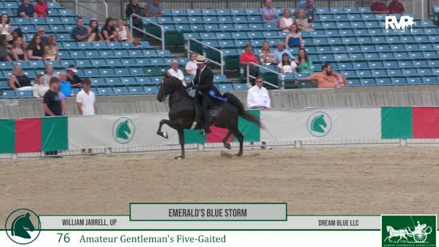 LJL25 - Class 76 - Amateur Gentleman'...