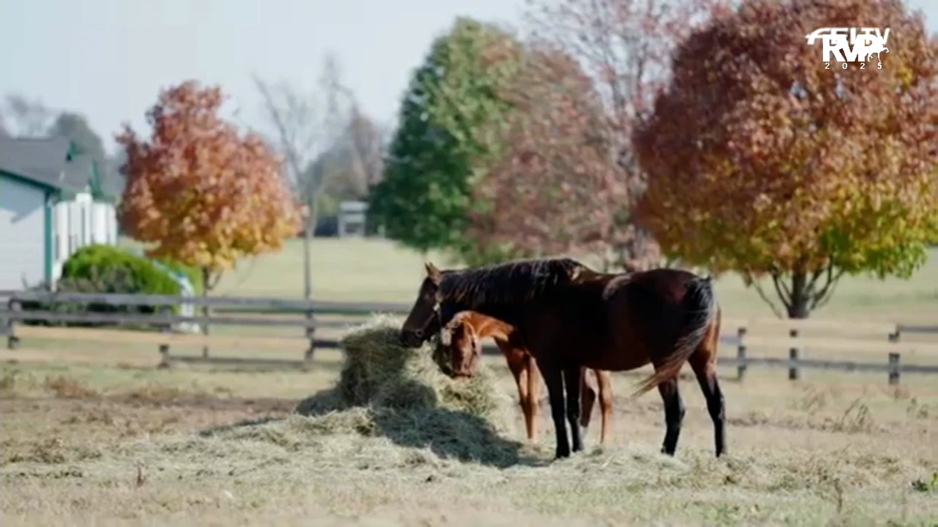 2025 Madison Classic - Friday Morning 