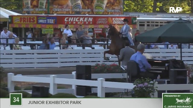 2016 RC - Class 34 Junior Exhibitor P...