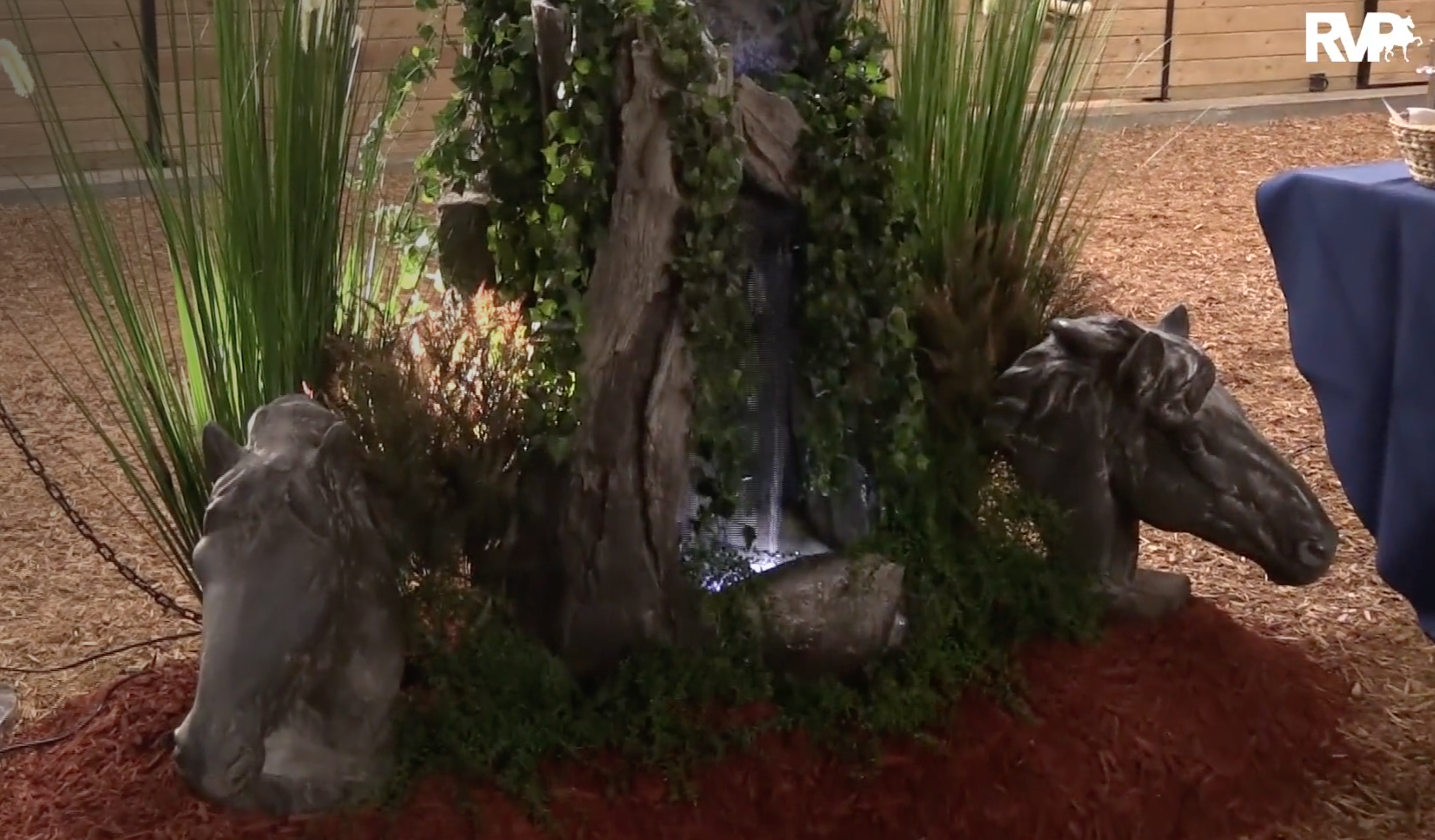 Singing Hills Stallion Preview