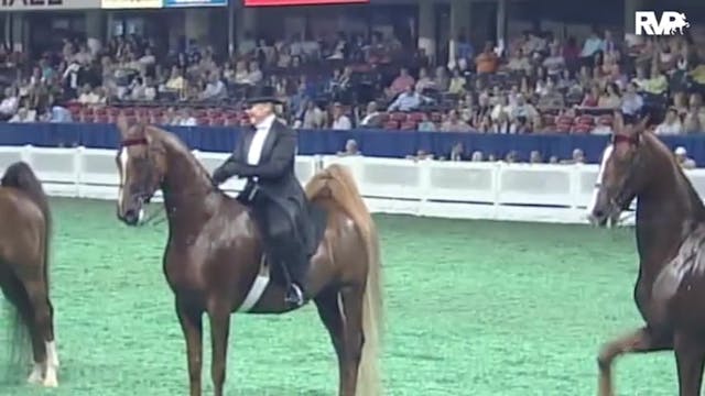 2010 World's Championship Horse Show ...