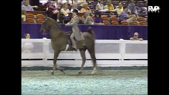 1999 WCHS - Class 66 Equitation Open ...