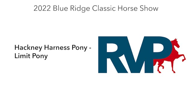 BR22 - Class 65.2 - Hackney Harness P...