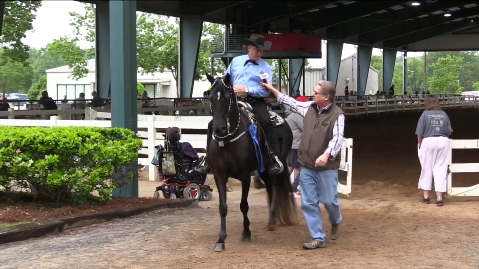 DC17 - Bear's Necessity