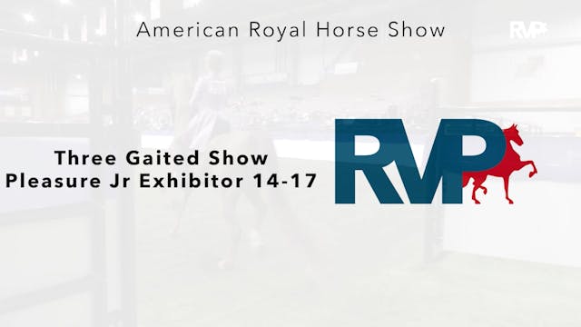 AR24 - Class 86 - Three Gaited Show P...