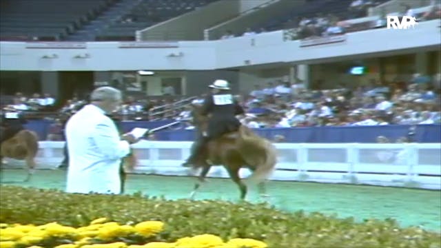 1992 WCHS Class 80 ASHA National Thre...