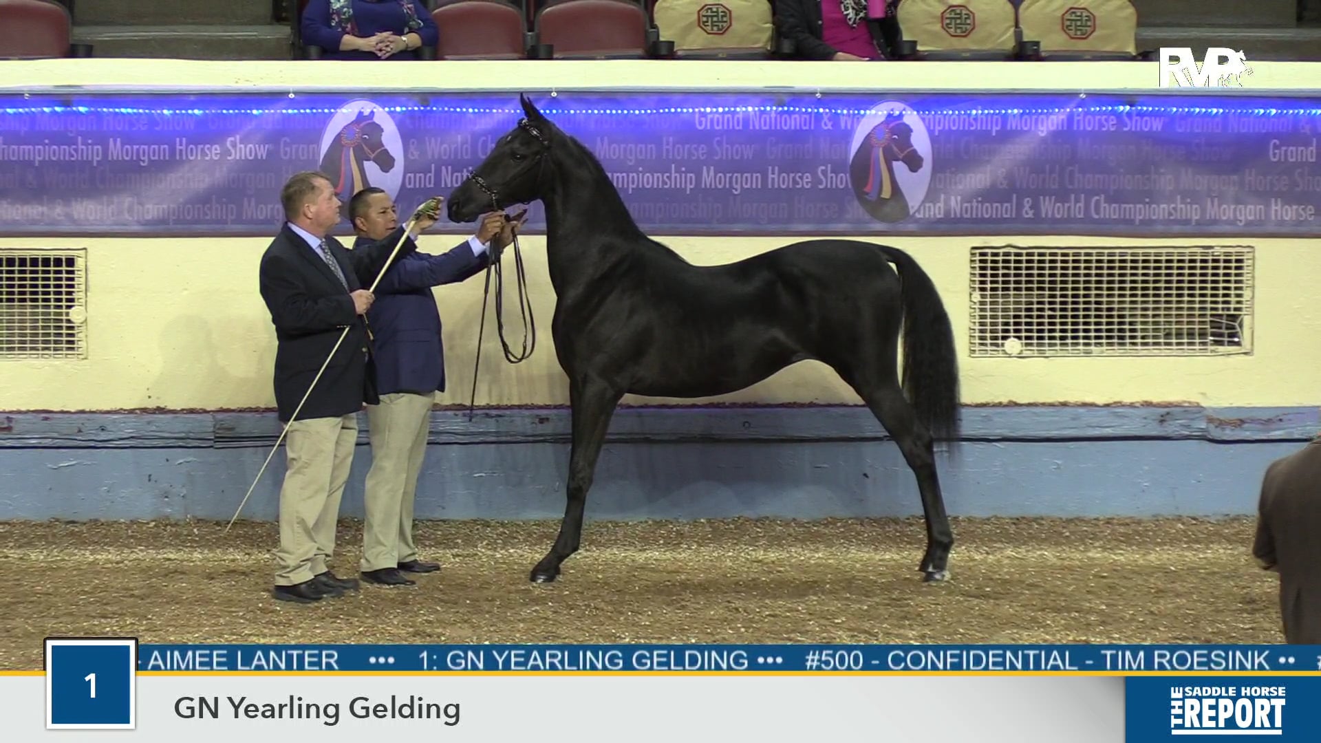 2019 Morgan Grand National - Coliseum - Saturday Morning