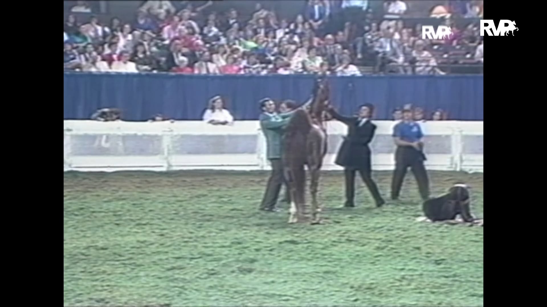 Looking Back on 1991 The Chancellor's and CH The Phoenix Retirement 