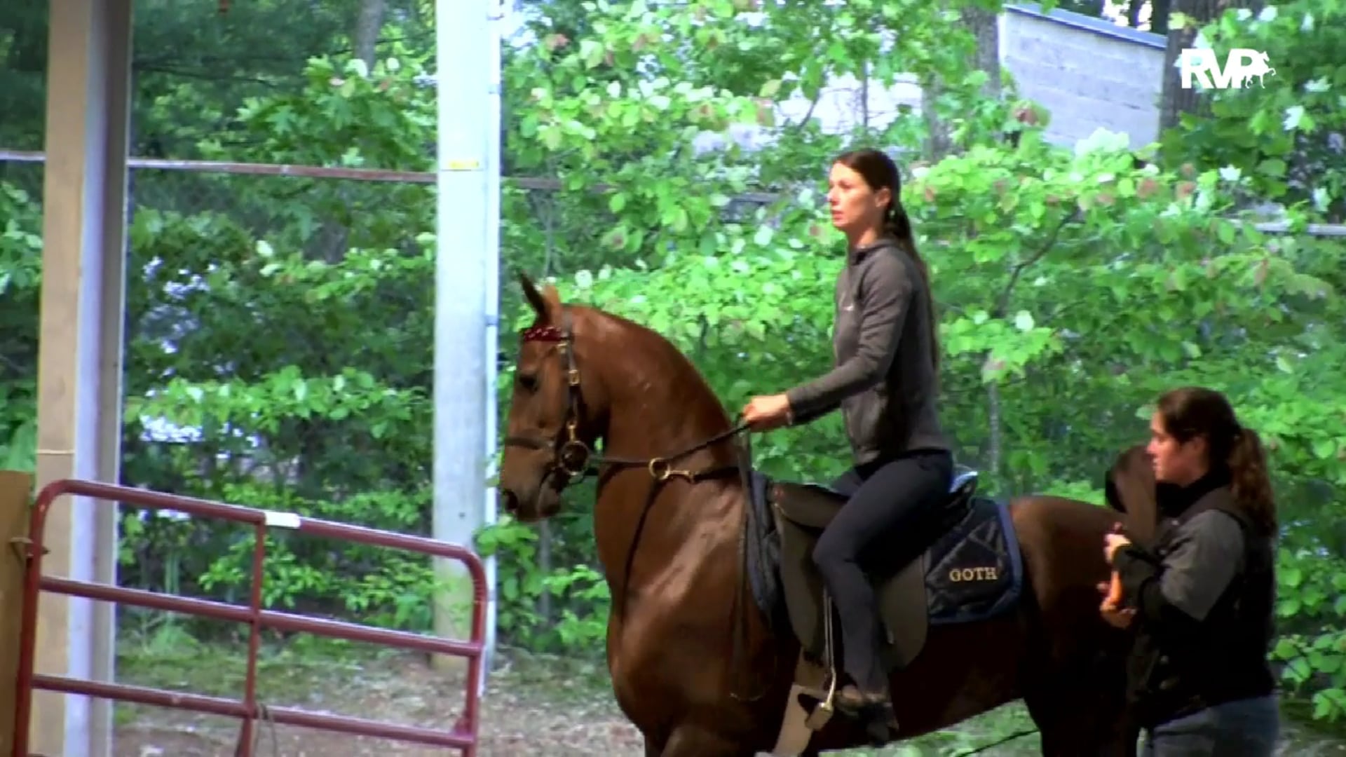 2019 Asheville Saddlebred Classic - Thursday Morning