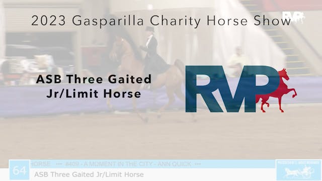 GASP23 - Class 64 - ASB Three Gaited ...