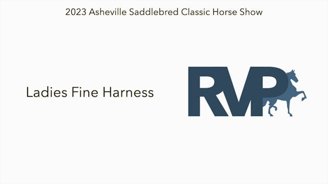 ASC23 - Class 33 - Ladies Fine Harness