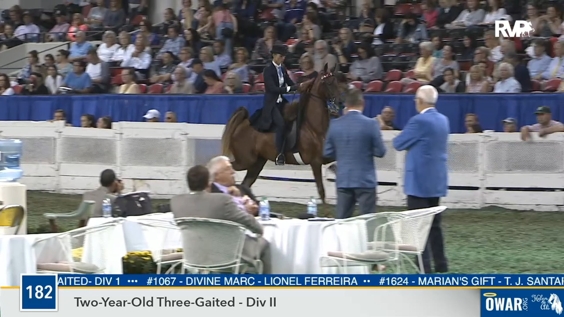 2019 WCHS - Class 182 Two Year Old Three Gaited - Division II 