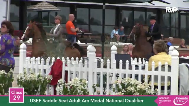 2015 LJL - Class 29 USEF Saddle Seat ...