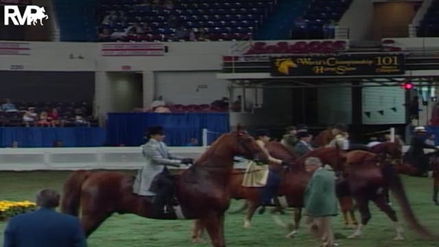 2004 World's Championship Horse Show ...