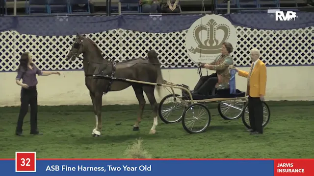 2015 American Royal - Wednesday 11AM
