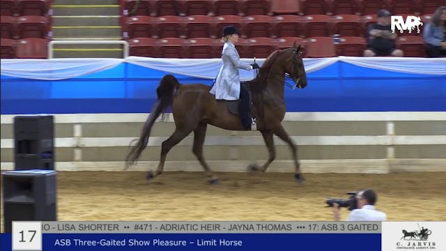 BR22 - Class 17 - ASB Three Gaited Sh...