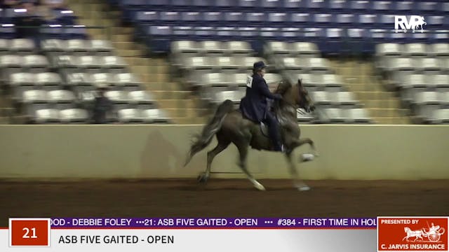 2020 SSFF - Class 21 ASB Five Gaited ...