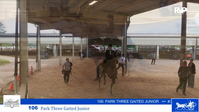 ASC24 - Class 106 - Park Three Gaited Jr