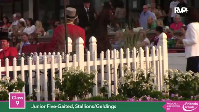2015 LJL - Class 9 Junior Five Gaited...