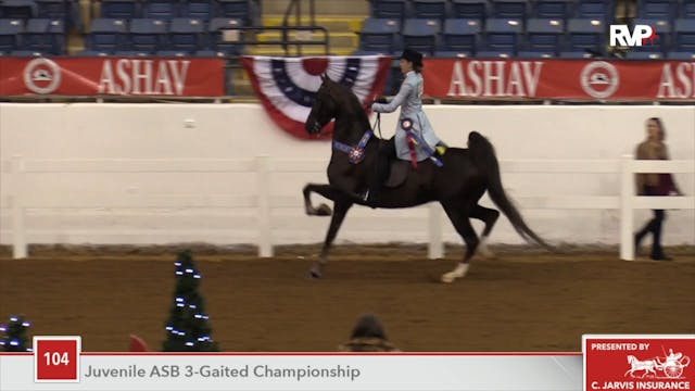 ASHAV18 - Class 104 - Rose Arbor's Mo...