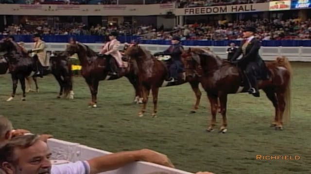 2002 WCHS Class 91 Junior Exhibitor F...