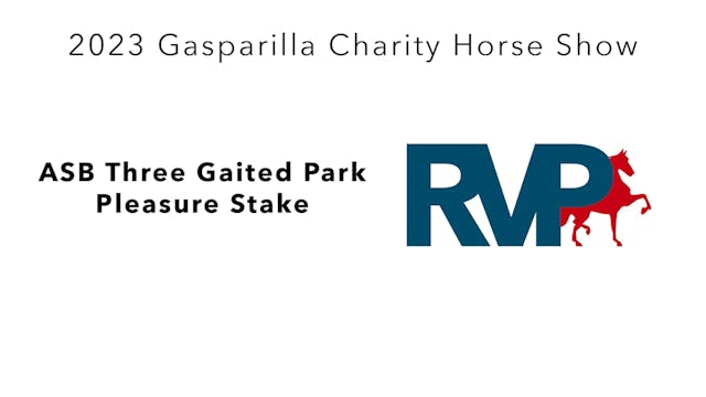 GASP23 - Class 153 - ASB Three Gaited...