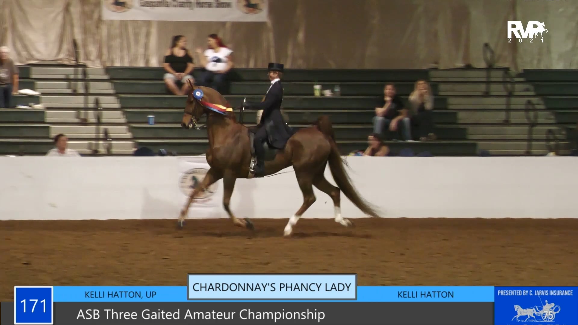GASP21 - Class 171 - ASB Three Gaited Amateur Championship
