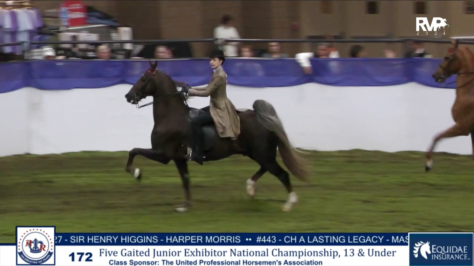 AR24 - Class 172 - Five Gaited Jr Exhibitor National Championship 13 & Under