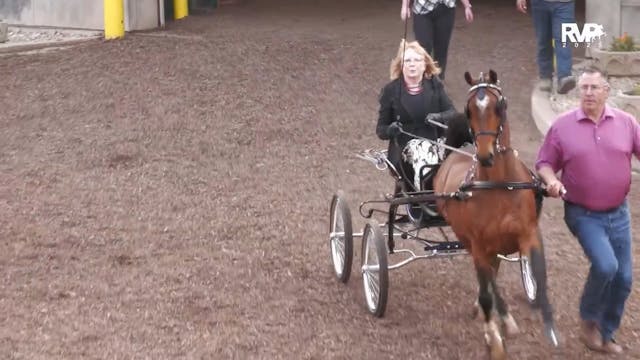 MW25 - Class 32 - Hackney Pony Amateu...