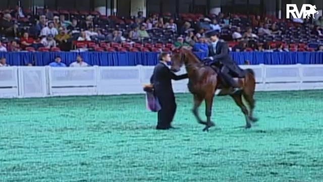 2009 World's Championship Horse Show ...