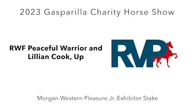 GASP23 - Class 154 - RWF Peaceful War...