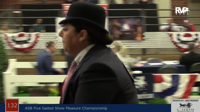 AAC22 - Class 132 -  ASB Five Gaited ...