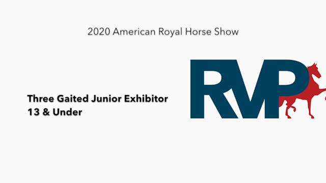 2020 AR - Class 80 Three Gaited Junio...