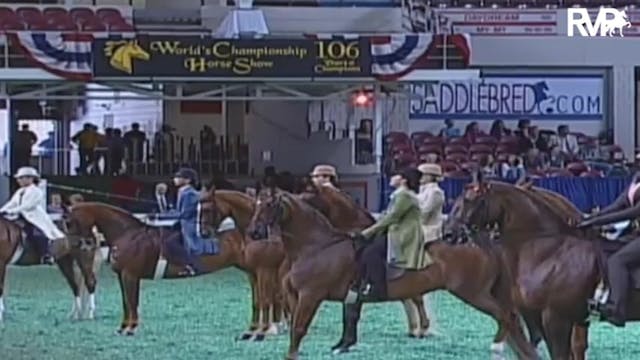 2009 World's Championship Horse Show ...