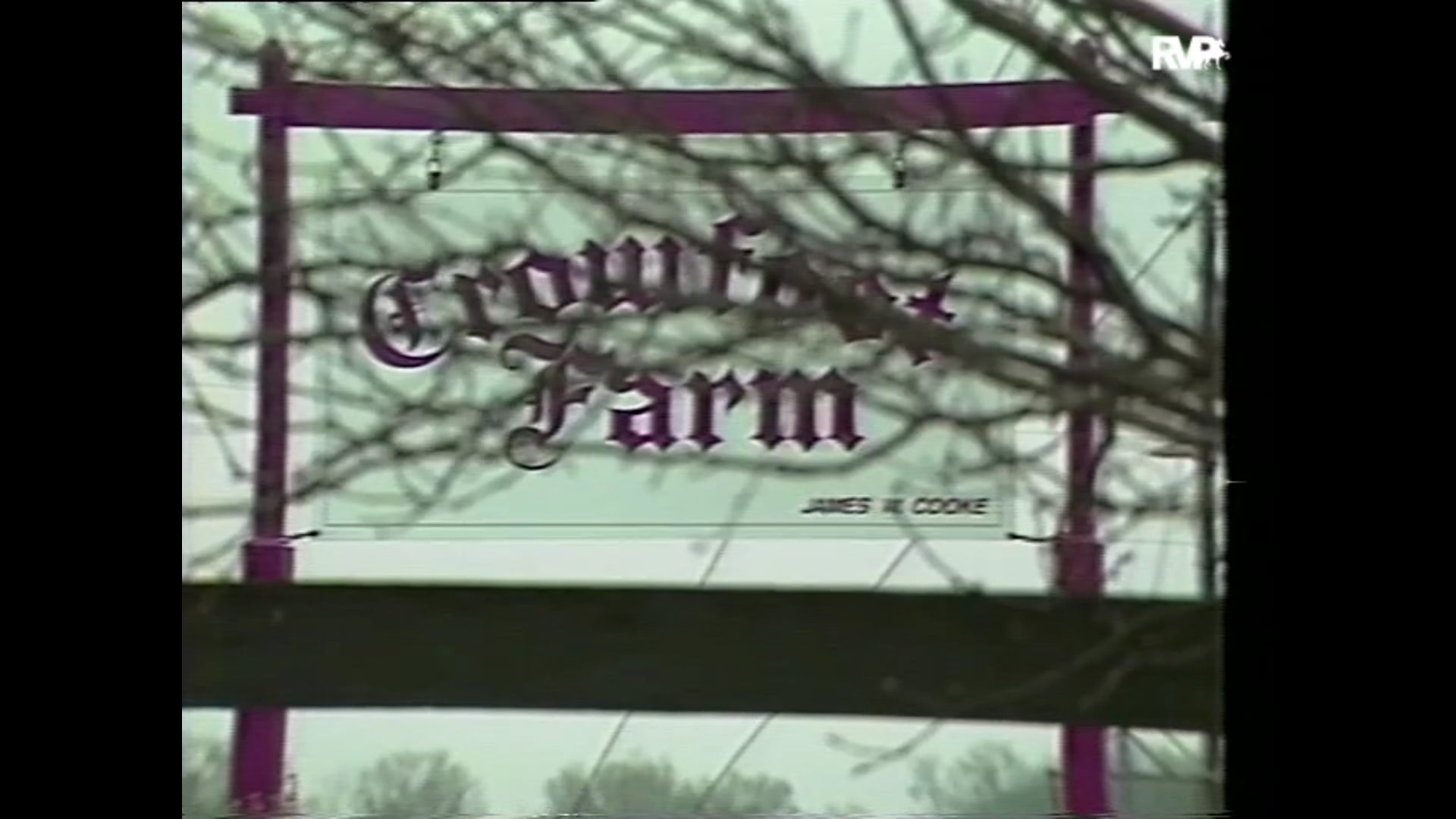Looking Back on 1995 James Cooke Purchases Charles D. Smith's Barn