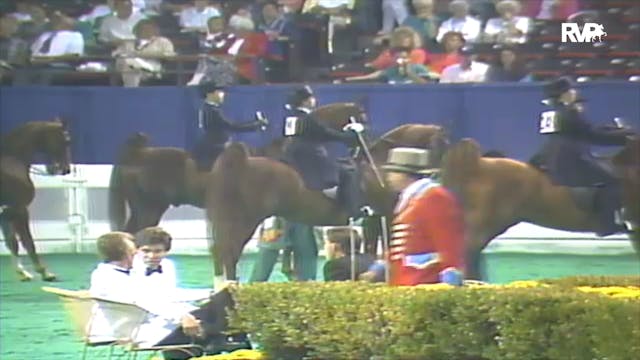 1992 WCHS Class 4 Kentucky Equitation...