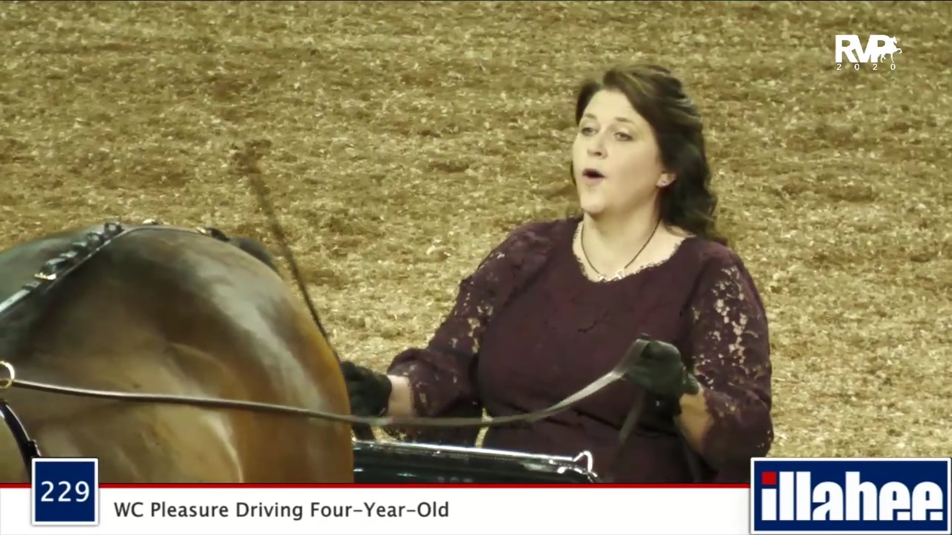 2020 MGN - 229 WC Pleasure Driving Four-Year-Old