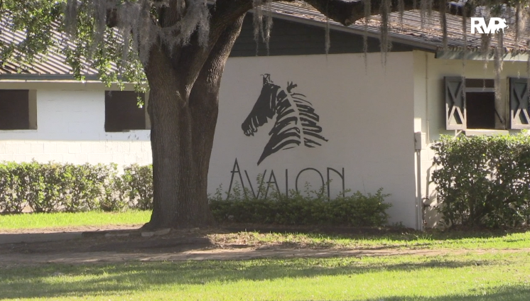 A Visit to Avalon Stables