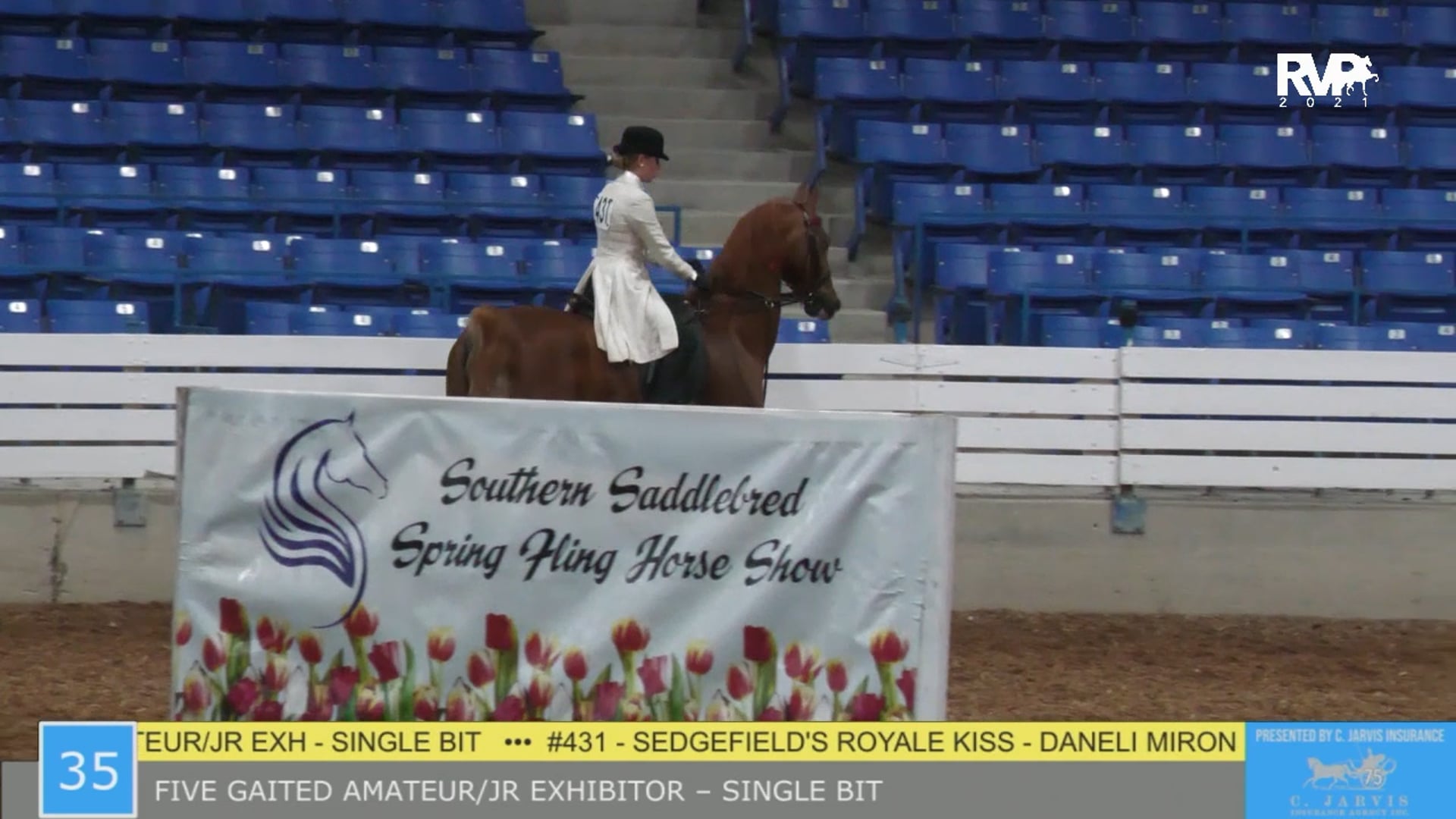 SSSF21 - Class 35 - Five Gaited Amateur-Junior Exhibitor - Single Bit