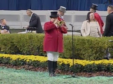 2008 WCHS Class 98 Three Gaited Under...